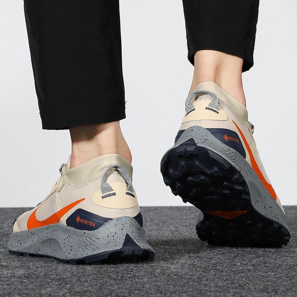 Мужские кроссовки Nike Pegasus Trail 3 GTX - DC8793-200 в интернет